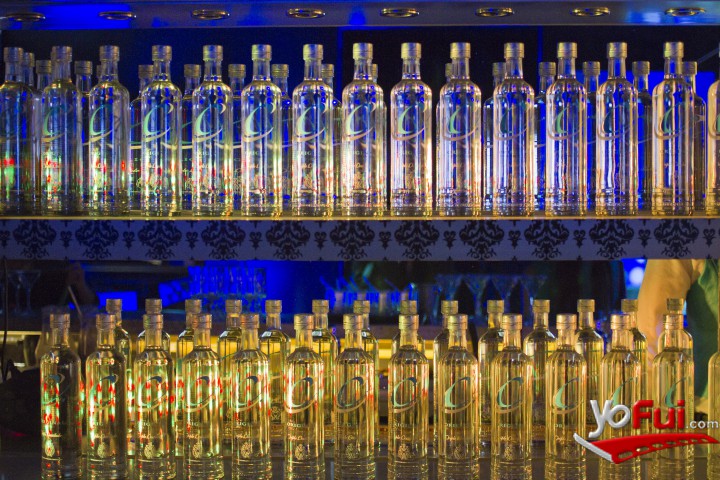 C Pisco
