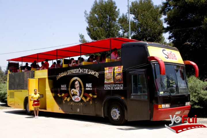 Bus Sadia