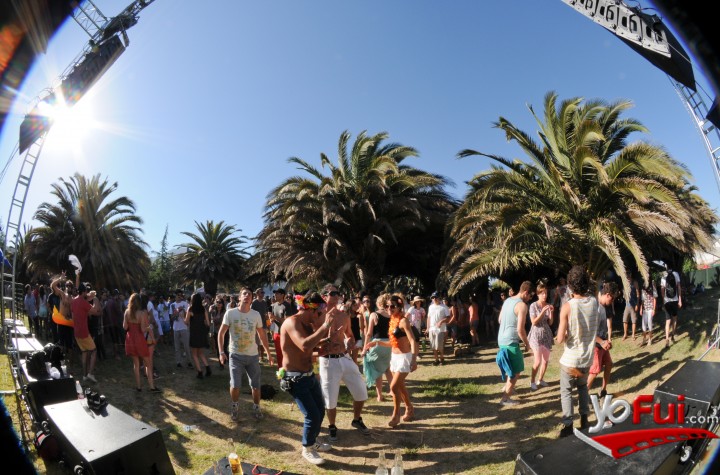 Primavera Fauna