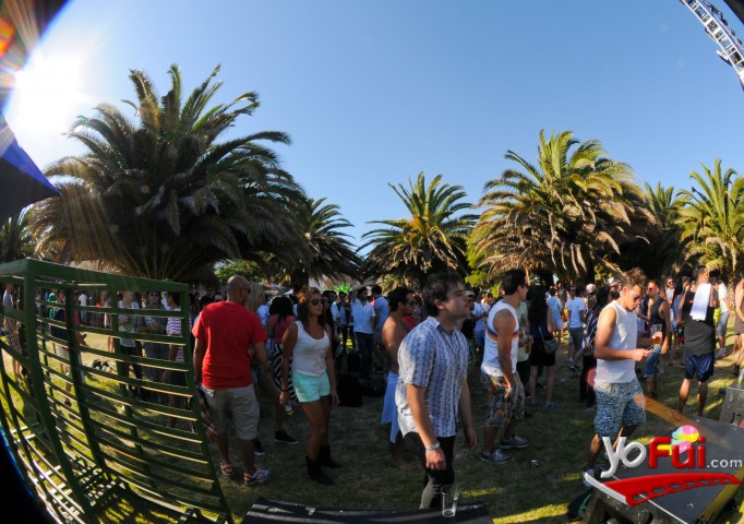Primavera Fauna