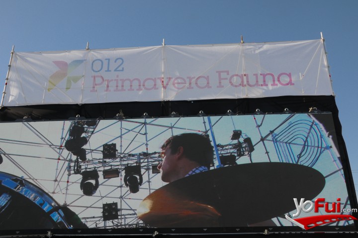 Primavera Fauna