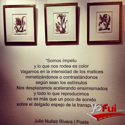 Poema de Julio Nuñez Rivera