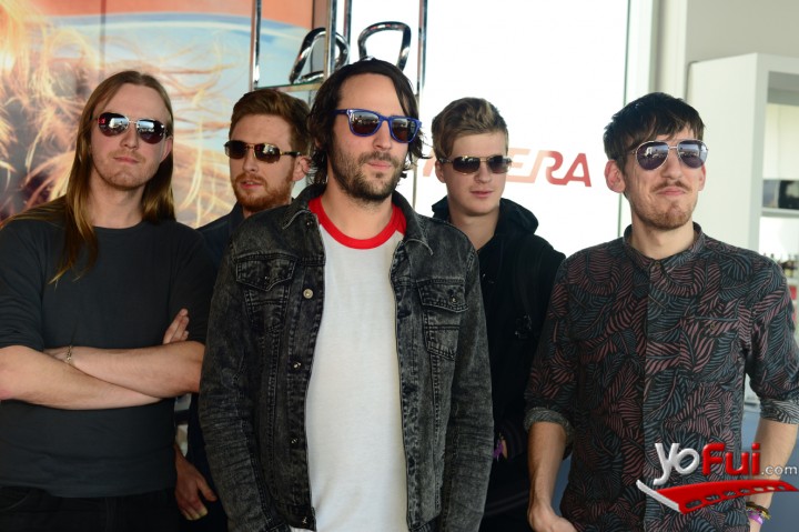 Foals