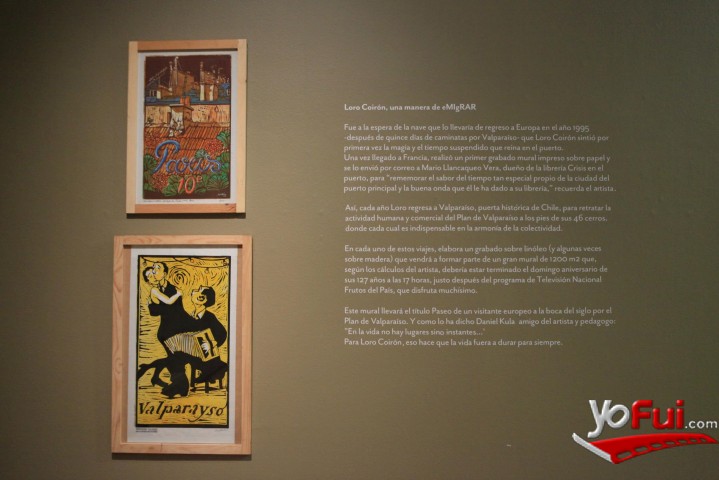 Fotografía en Loro Coirón: Una manera de eMIgRAR, Museo Nacional de Bellas Artes