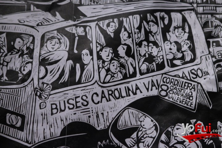Loro Coirón: Una manera de eMIgRAR