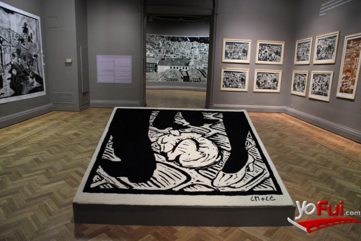 Fotografía en Loro Coirón: Una manera de eMIgRAR, Museo Nacional de Bellas Artes