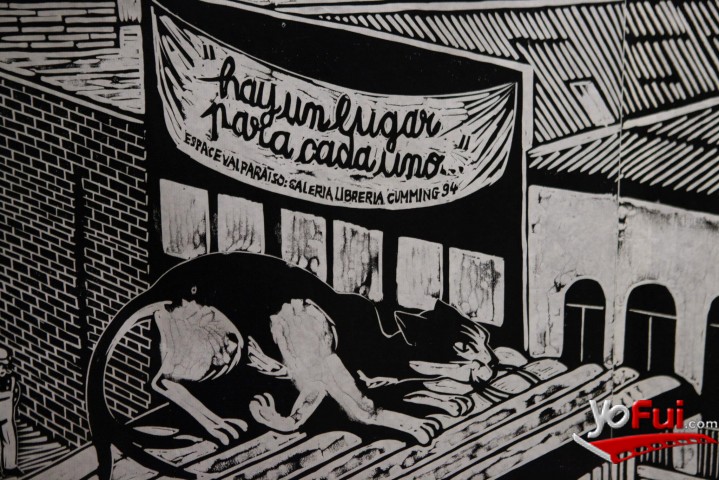 Loro Coirón: Una manera de eMIgRAR