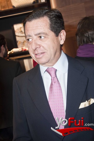 Iñigo de Palacio España, Embajador de España