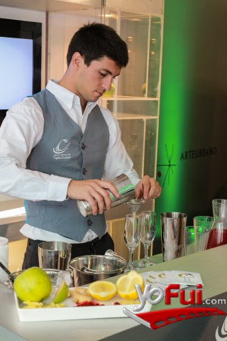 Fotografía en Feria "Artes & Sabores", Audi Boutique