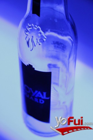 Fotografía en Fiesta Royal Guard Black Label en el Metro, Metro de Santiago