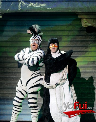 Fotografía en Madagascar Live, Movistar Arena