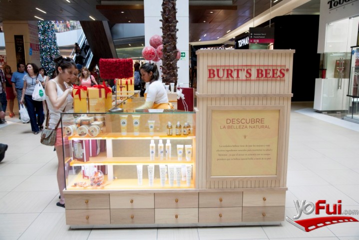 Fotografía en Navidad Burt´s Bees, isla Burt´s Bees
