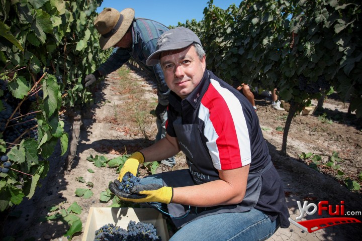 Alejandro Mery