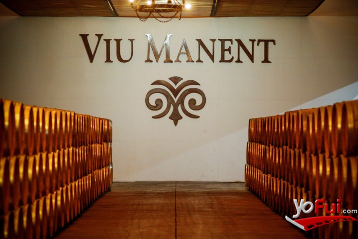 Bodega Viu Manent