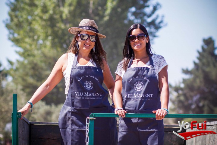 Macarena Torres, Consuelo Schultz