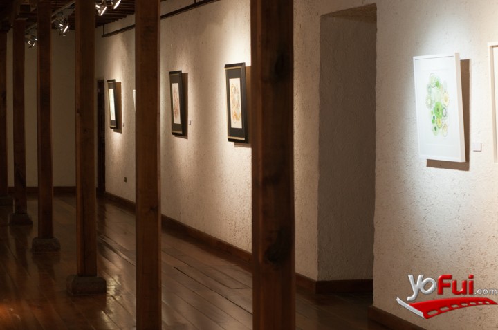 Montaje Casas de Lo Matta