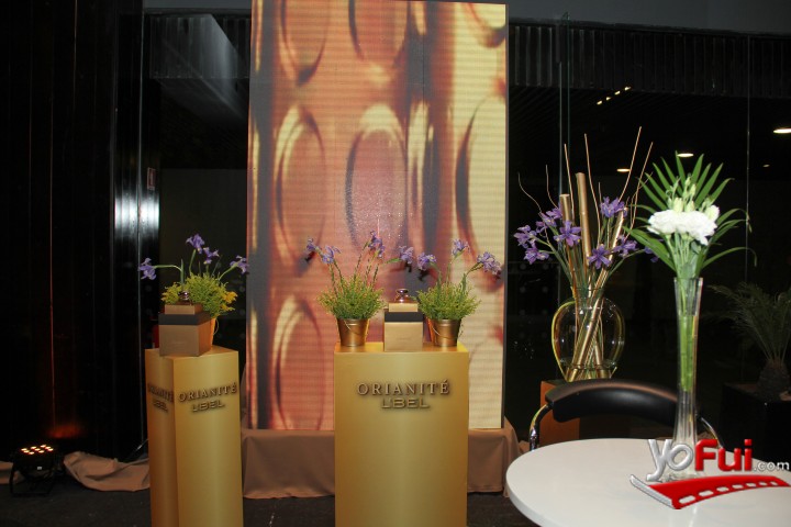 Fotografía en Lanzamiento Orianité de L’Bel, Salón Austral, Centro Parque