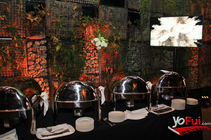 Fotografía en Lanzamiento Orianité de L’Bel, Salón Austral, Centro Parque