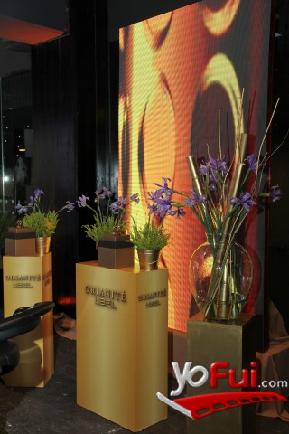 Fotografía en Lanzamiento Orianité de L’Bel, Salón Austral, Centro Parque