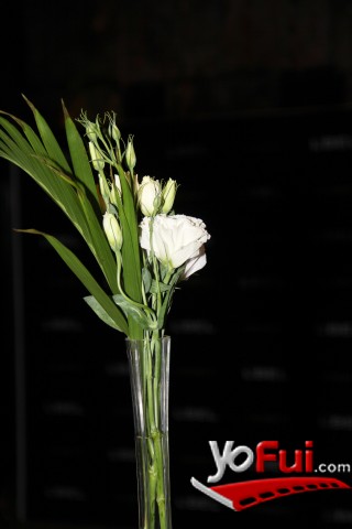 Fotografía en Lanzamiento Orianité de L’Bel, Salón Austral, Centro Parque