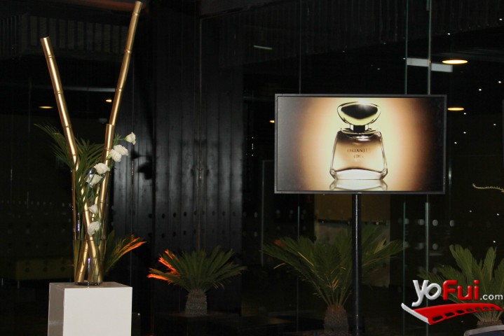 Fotografía en Lanzamiento Orianité de L’Bel, Salón Austral, Centro Parque