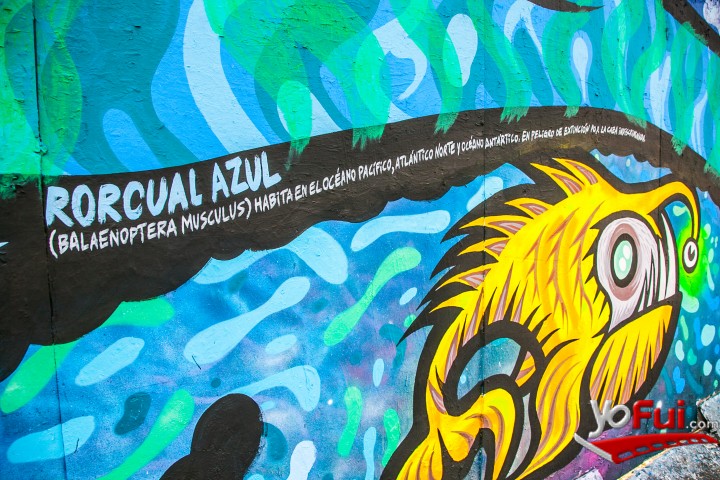 Fotografía en Final Concurso Grafiti organizado por GAP y Ventro GAM, Centro GAM