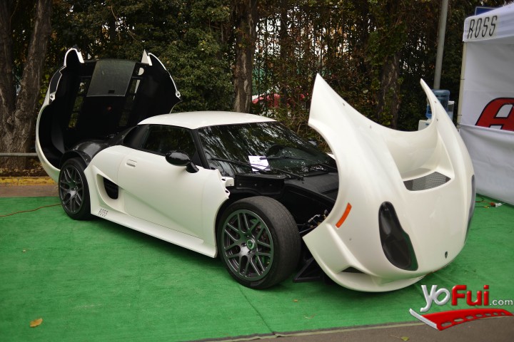 Exposición autos