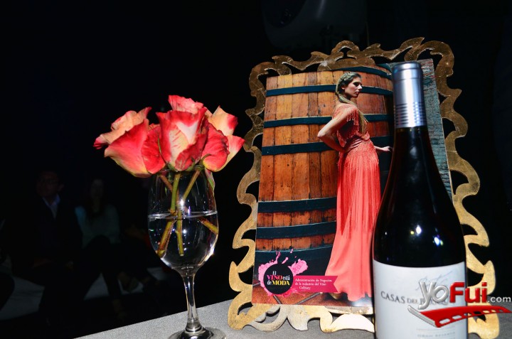 Fotografía en Desfile El vino está de moda, Culinary