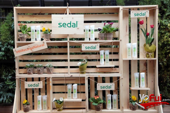 Fotografía en Sedal lanza nueva línea Recarga Natural, Tea Connection