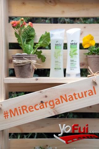 Fotografía en Sedal lanza nueva línea Recarga Natural, Tea Connection