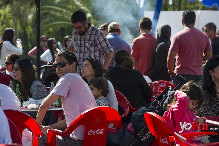 Viva Chile 2014