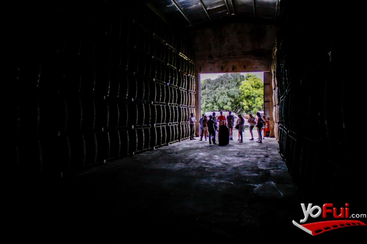 Fotografía en Ron Abuelo en Panamá, Hacienda San Isidro