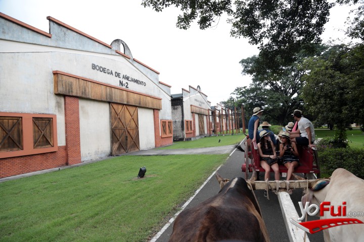 Fotografía en Ron Abuelo en Panamá, Hacienda San Isidro