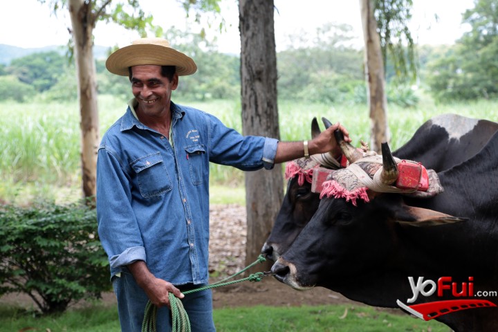 Fotografía en Ron Abuelo en Panamá, Hacienda San Isidro
