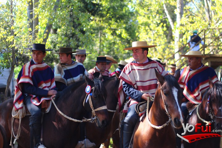 YoFui.com Temporada de Rodeo 2014, Medialuna del Parque Abel Bouchon (5370)