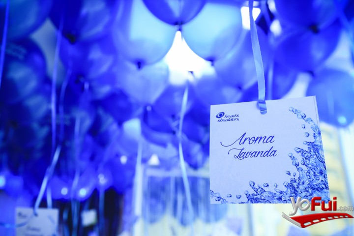 Nuevos aromas Head & Shoulders