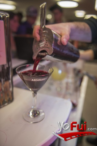 Cocteles Absolut Elyx