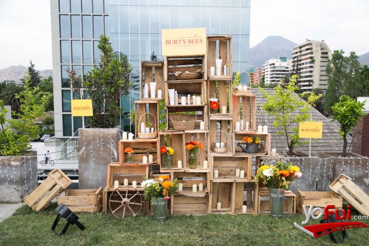 Burt's Bees - Línea Brightening