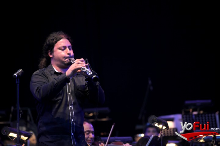 Fotografía en Concierto de Navidad Las Condes, Parque Araucano