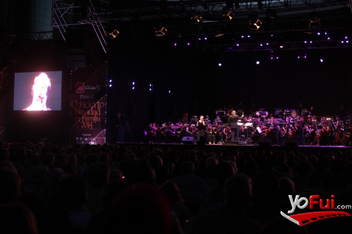 Fotografía en Concierto de Navidad Las Condes, Parque Araucano