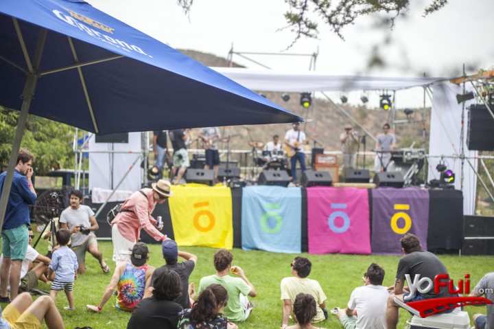 Fotografía en Quinta versión del Festival Patahuilla, Campo de Guy Barroilhet
