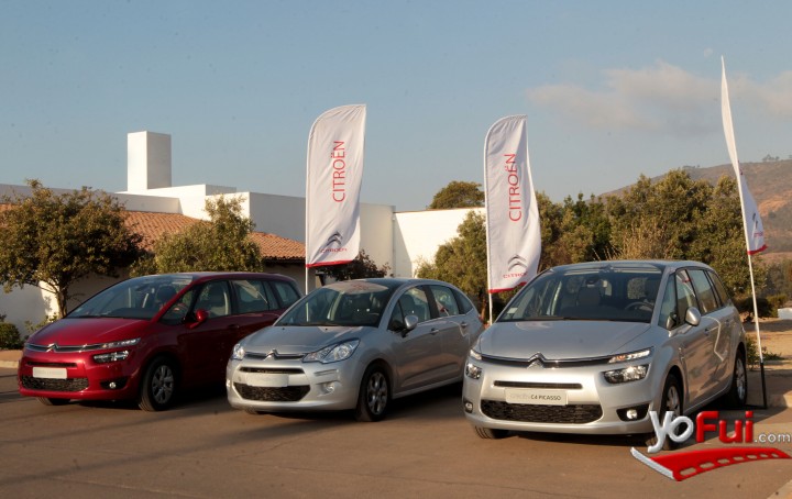 Opencinema Marbella by Citroen