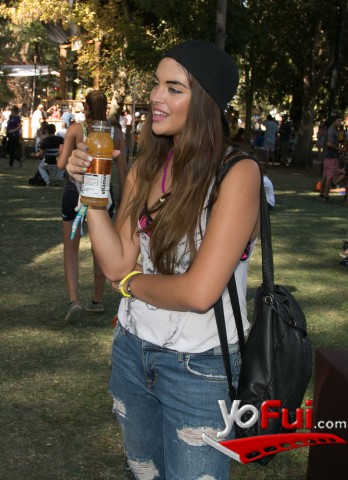 Fotografía en Lolla Lounge, Lollapalooza Chile