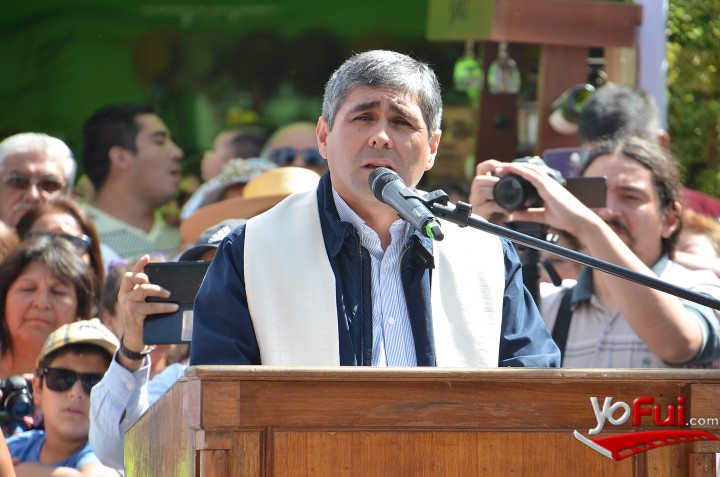 Cristián Avendaño, Vicario