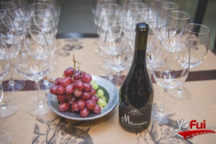 Fotografía en Bienvenida a grupo de amigos de BBVinos, Tienda BBVinos