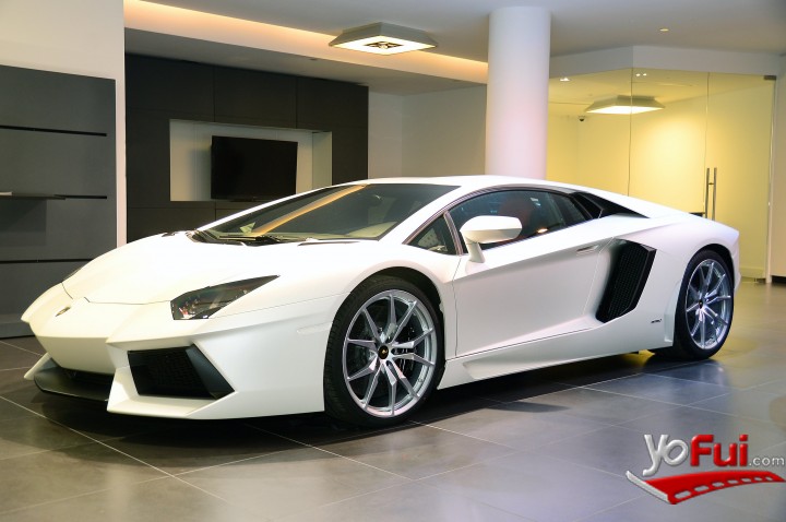 Fotografía en Lanzamiento Bentley y Lamborghini, Tienda Bentley y Lamborghini
