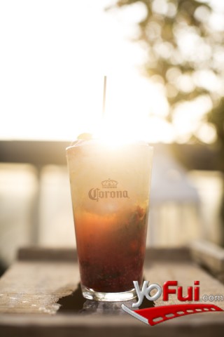 Corona Drinks