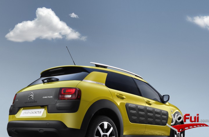 Fotografía en Lanzamiento C4 Cactus de Citroën, Club de Parapentes Maitencillo
