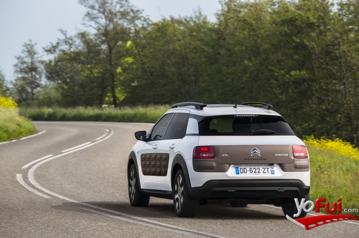 Fotografía en Lanzamiento C4 Cactus de Citroën, Club de Parapentes Maitencillo
