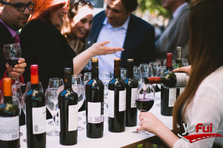Fotografía en Día Nacional del Vino, Plaza de Armas de  de Santa Cruz